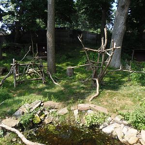 Alligator Alley- Bald Eagle Exhibit