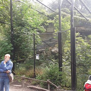 Former enclosure of Snow leopards