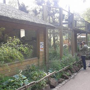 Lemur enclosure