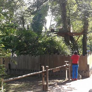 Red panda enclosure