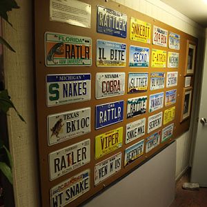 snake license plates