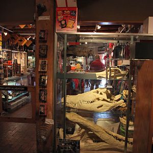 view from museum to gift shop