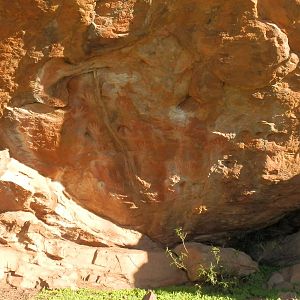 Aboriginal Paintings