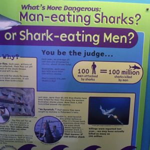 What's More Dangerous: