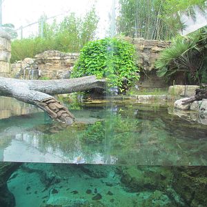 Range of the Jaguar Pool