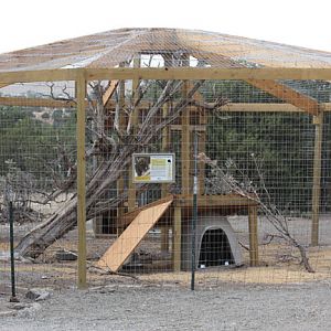 new porcupine exhibit