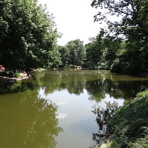 Pond in the zoo