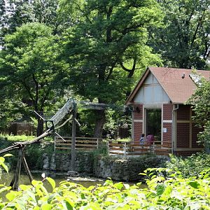 Pavilion of Saimiri monkeys