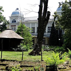 Paddock of lemures and in the background building of the terrarium