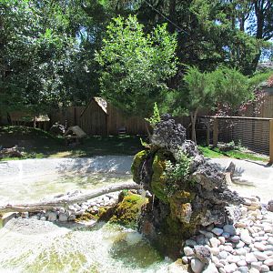 Little Asia - Muntjac, Crane, Goose, and Mandarin Duck