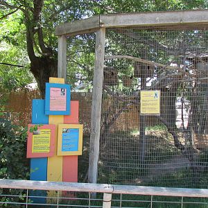 Patagonian Realm Aviary