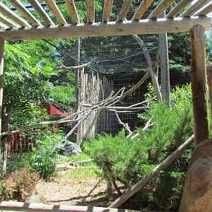 North America - Golden Eagle Aviary