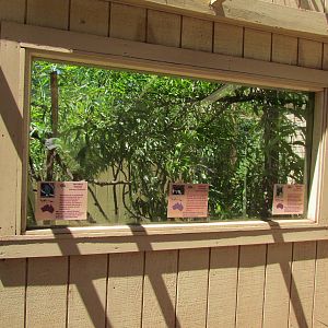 Land Down Under - Aviary