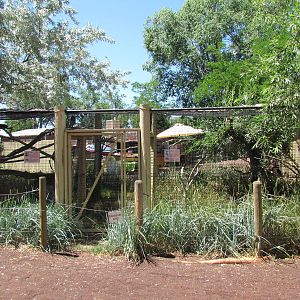 Land Down Under - Frogmouth and Kookaburra Aviaries