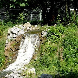 Waterfall on the paddock Ursus actros
