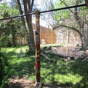 Africa - Malawi Marsh