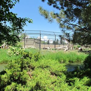 Asian Adventure - Sloth Bear Exhibit