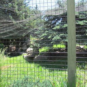 Asian Adventure - Snow Leopard Exhibit