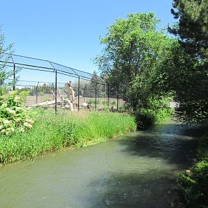 Asian Adventure - Sloth Bear Exhibit