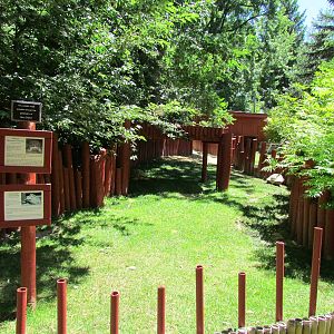 African Spurred Tortoise and Leopard Tortoise Exhibit