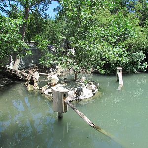 North America - Idaho Pond