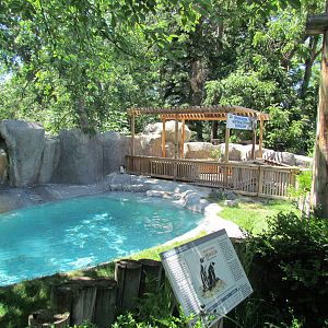 Penguin Cove - Outdoor Exhibit