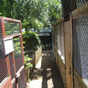 Hagley Falconry Centre