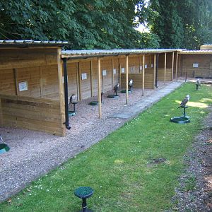 Hagley Falconry Centre