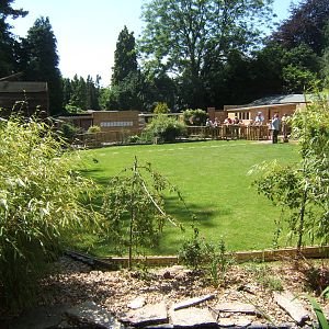 Hagley Falconry Centre