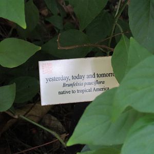 Yesterday Today and Tomorrow