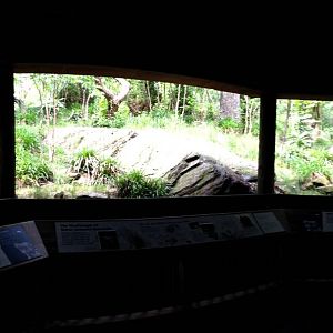 Central Park Zoo- Snow Leopard 2nd Exhibit