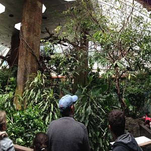 Central Park Zoo- Tropics Building