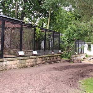 Older enclosures, July 2013