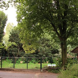 Red panda and muntjac enclosure, July 2013