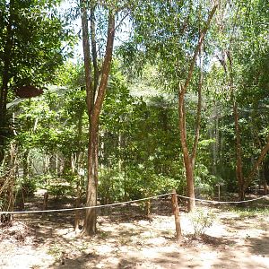 Eagle aviary, May 2013