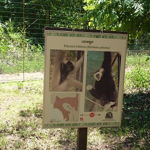 Example of signage, May 2013