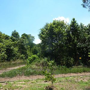 Semi-wild primate enclosures, May 2013