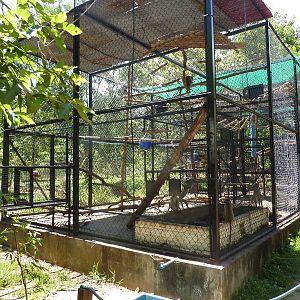 Macaque enclosures, May 2013