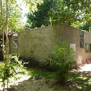 Pangolin enclosure, May 2013