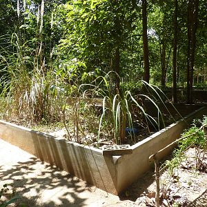 Tortoise breeding enclosures, May 2013