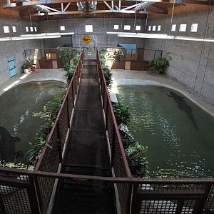 saltwater croc warehouse