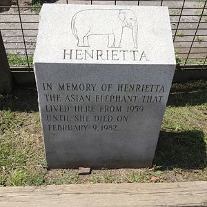 Memorial to Henrietta the Elephant