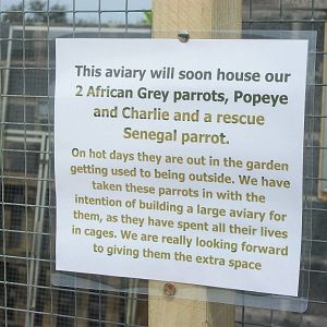 Filey Bird Garden and Animal Park, Parrot Aviary under construction 12th Ju