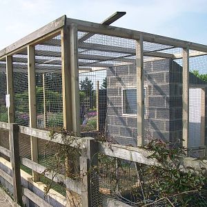 Filey Bird Garden and Animal Park, Parrot Aviary under construction 12th Ju