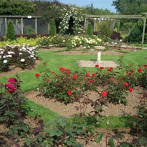 Filey Bird Garden and Animal Park, gardens 12th July 2013