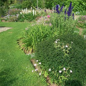 Filey Bird Garden and Animal Park, gardens 12th July 2013