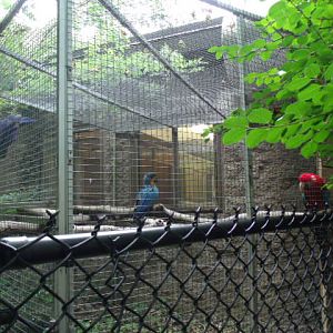 Macaw Cage