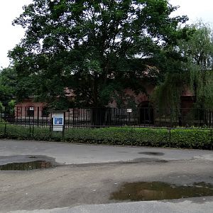 Outside paddocks  - Hexaprotodon liberiensis and Hippopotamus amphibius