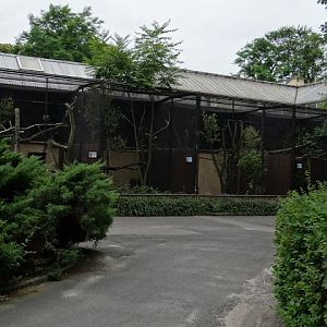 Outside aviaries of birds