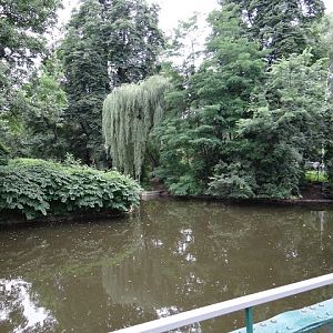 Pond in the zoo